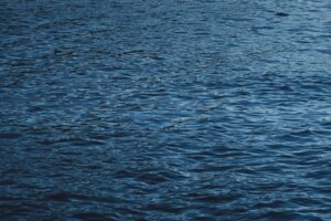 Seaflex elastic mooring systems provide sustainable solutions for docks, pontoons, and floating structures.